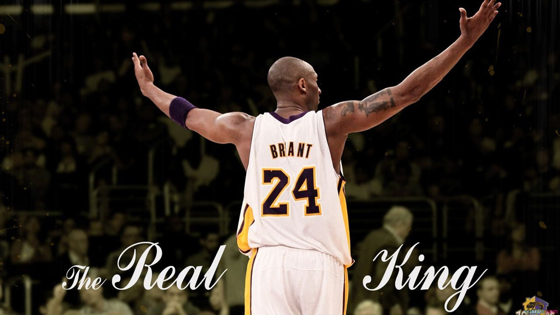 KY Sports-“荒野追逐:沙漠与山林的极限比拼”,荒野沙漠枪战动作片叫什么名字