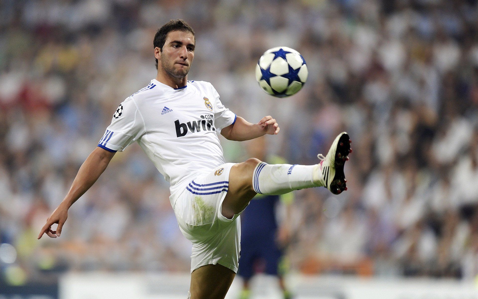 未来足球“明星”在欧冠舞台的“星光大道”，欧洲足球未来之星